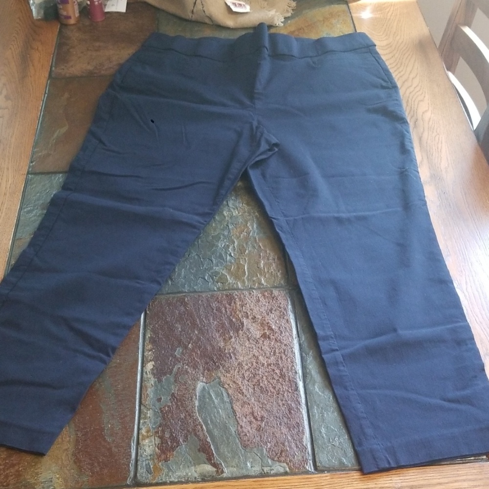 Prophecy Womens Navy Blue Slacks